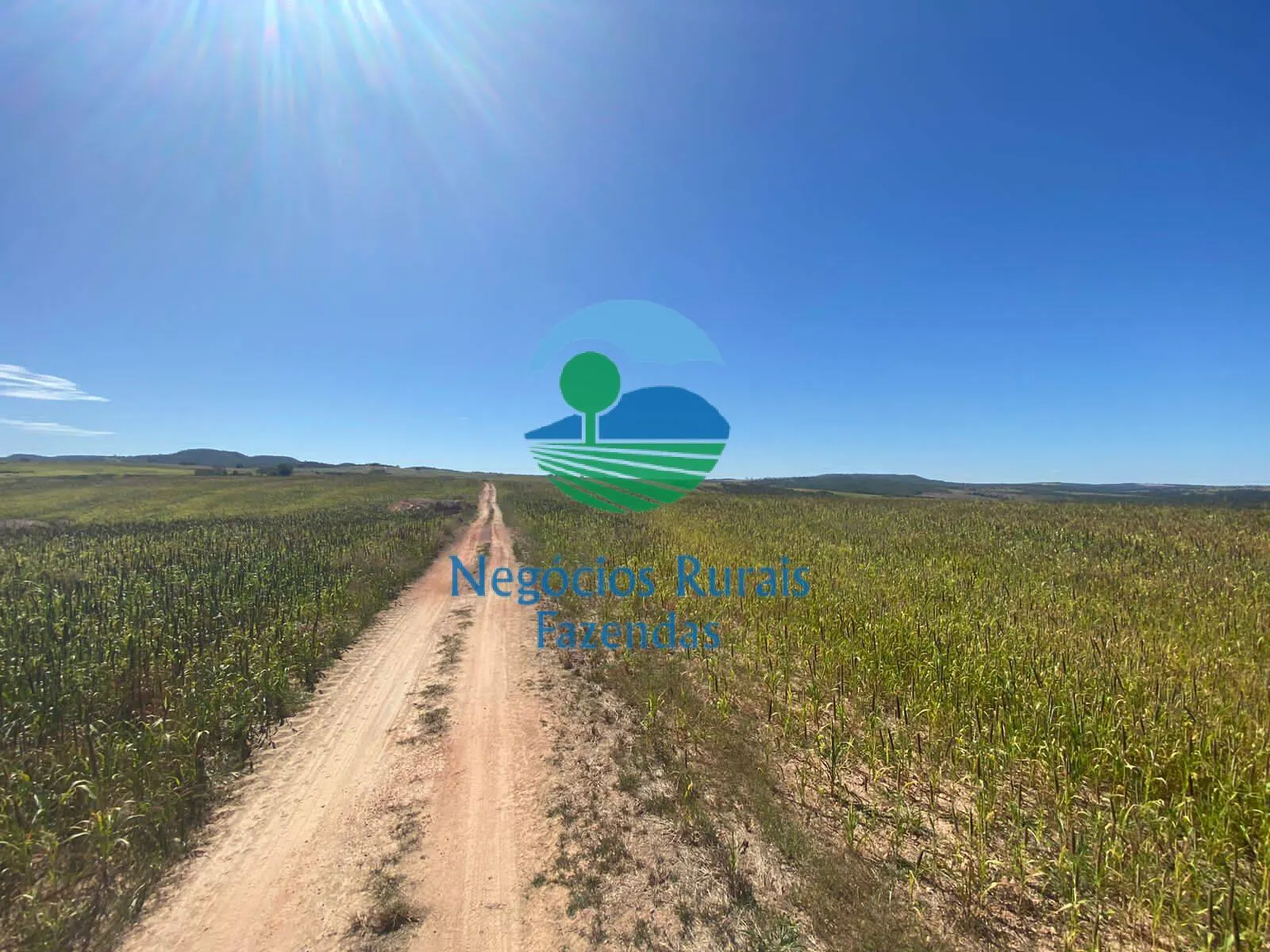 Fazenda à venda de 556 ha em Pires do Rio, GO, Brasil