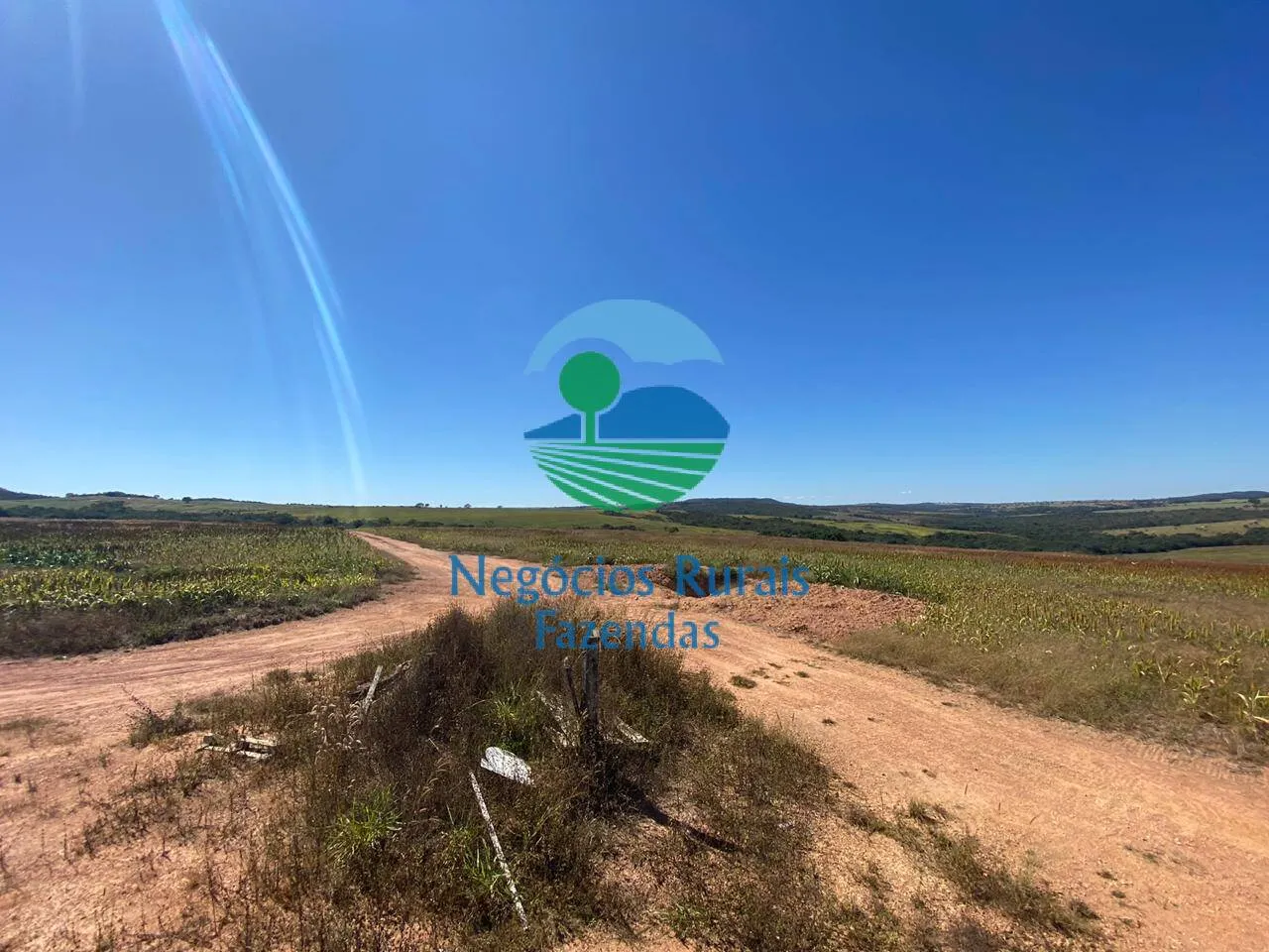Fazenda à venda de 556 ha em Pires do Rio, GO, Brasil