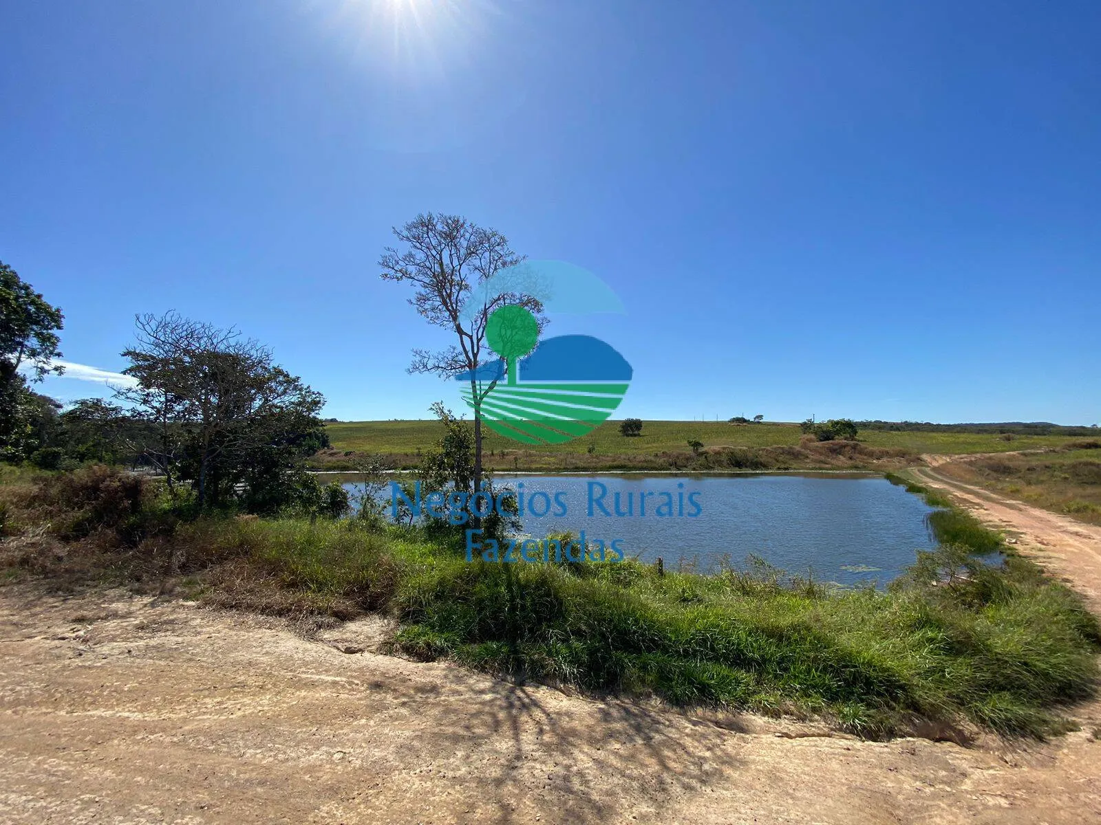 Fazenda à venda de 556 ha em Pires do Rio, GO, Brasil