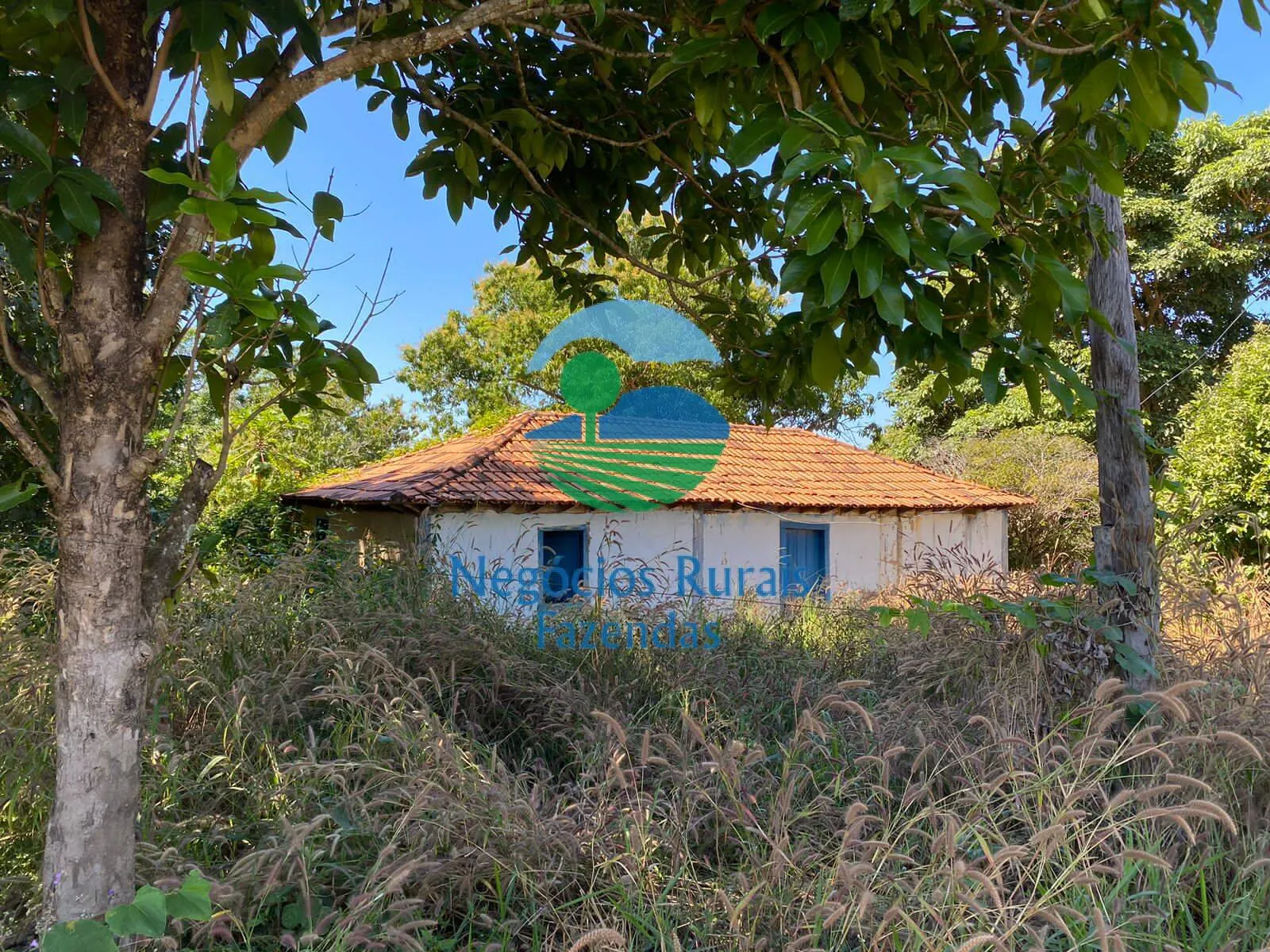 Fazenda à venda de 556 ha em Pires do Rio, GO, Brasil