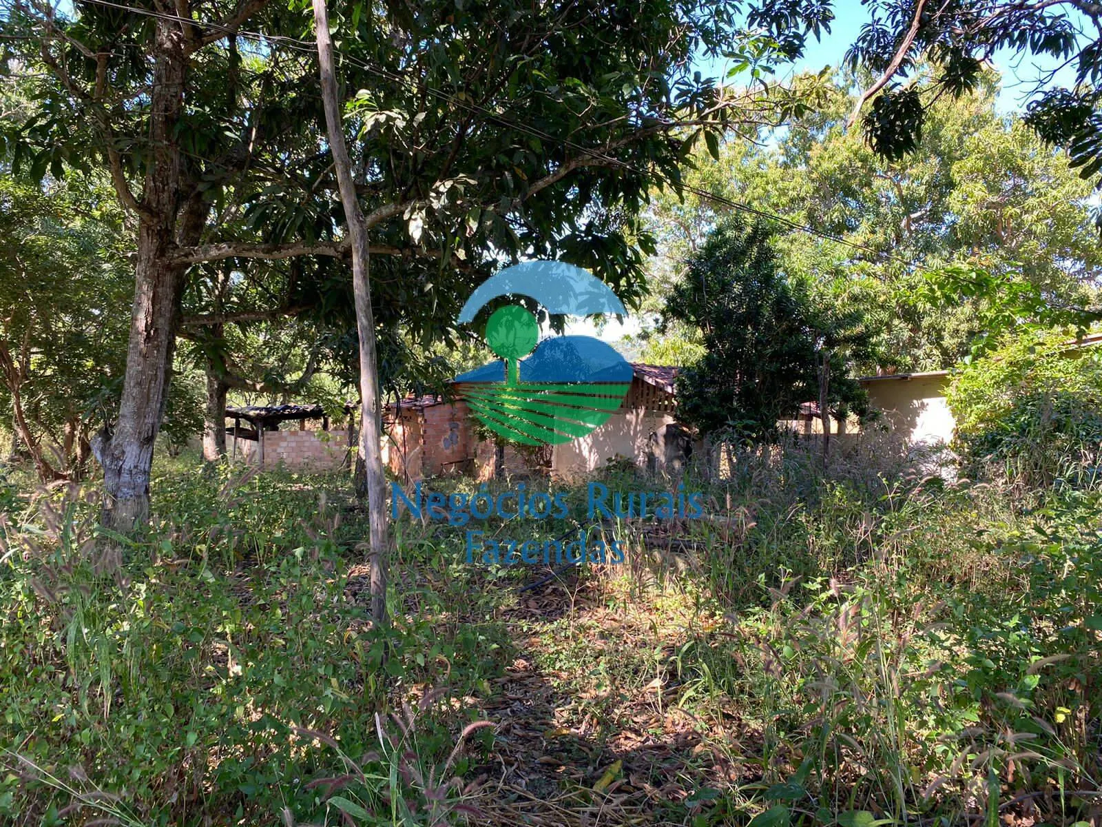 Fazenda à venda de 556 ha em Pires do Rio, GO, Brasil