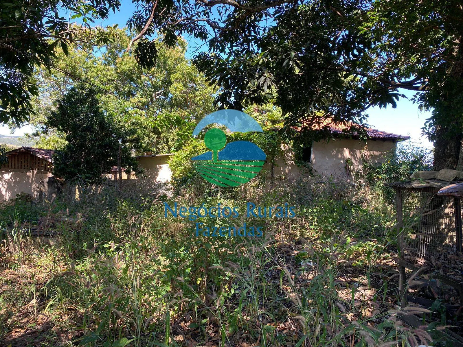Fazenda à venda de 556 ha em Pires do Rio, GO, Brasil