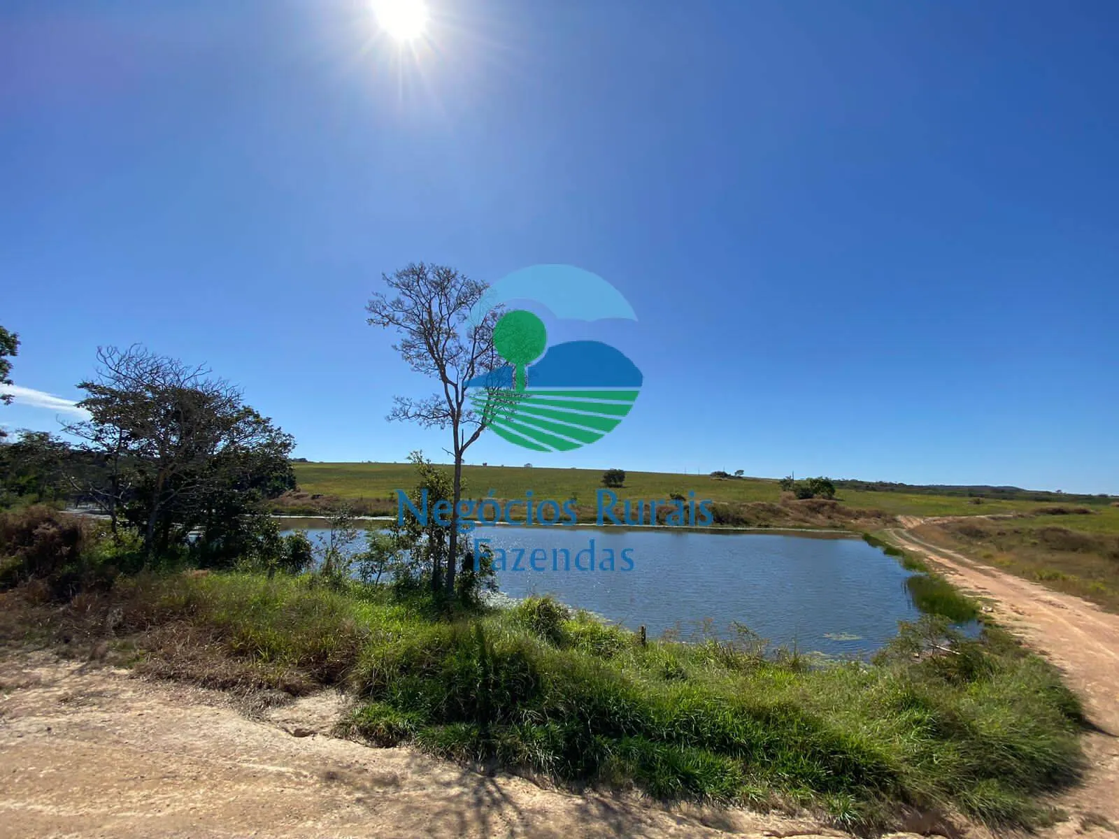 Fazenda à venda de 556 ha em Pires do Rio, GO, Brasil