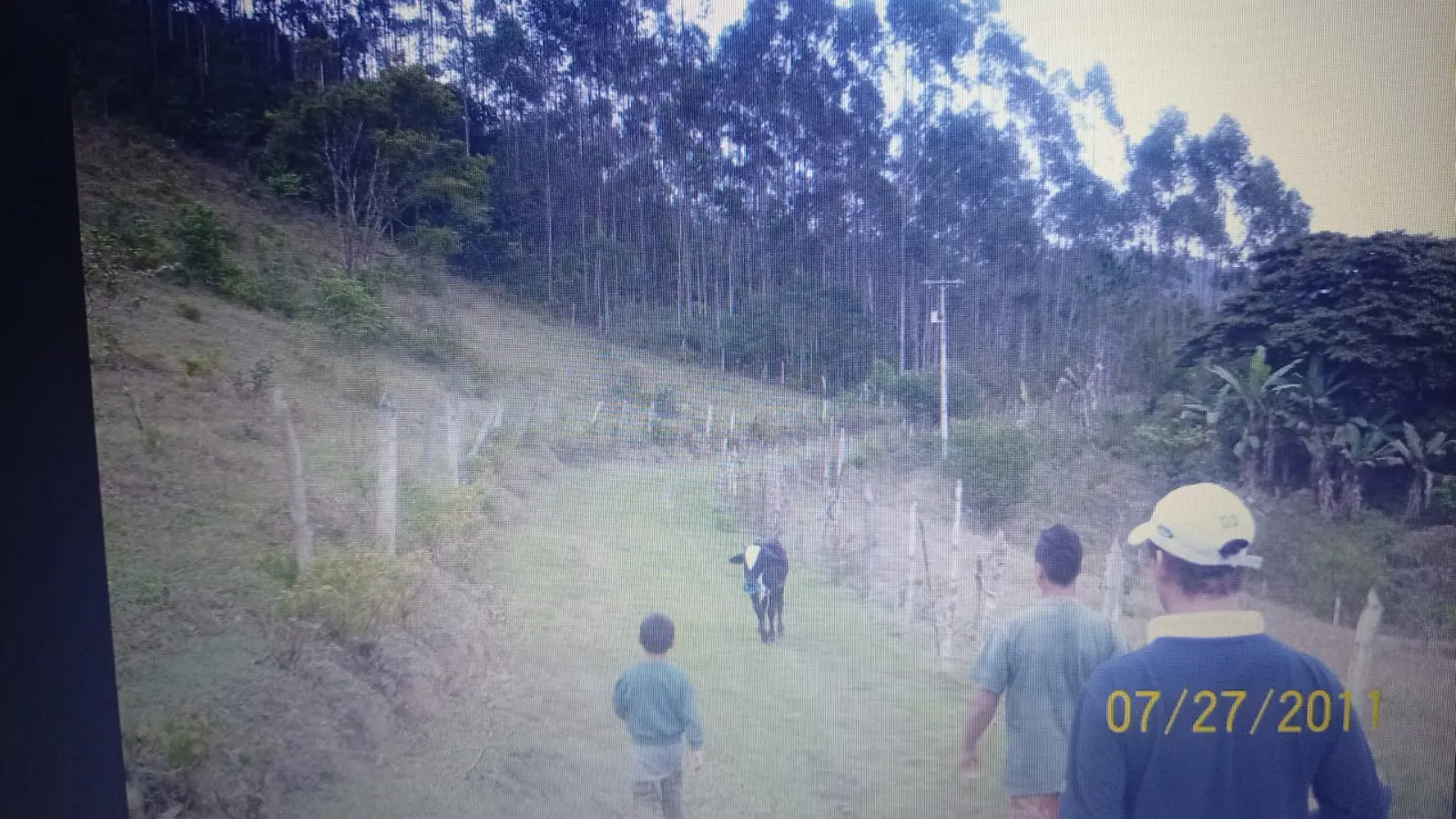 Fazenda à venda de 118 ha em Miracatu, SP, Brasil