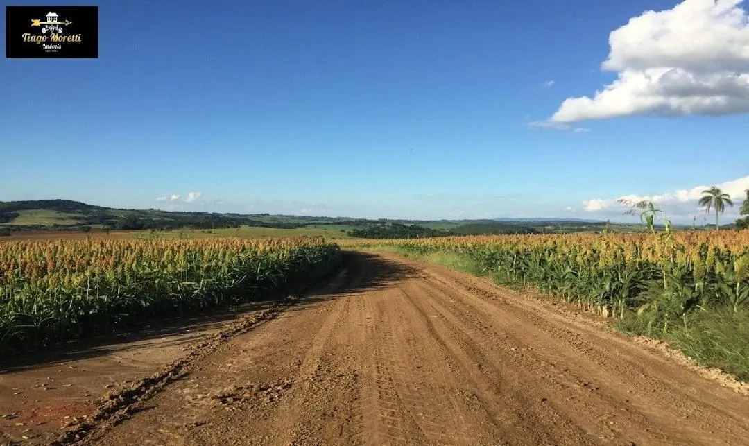 Fazenda à venda de 11.761 ha em Itapetininga, SP, Brasil