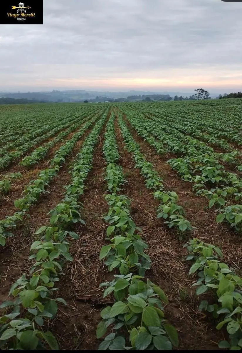 Fazenda à venda de 11.761 ha em Itapetininga, SP, Brasil