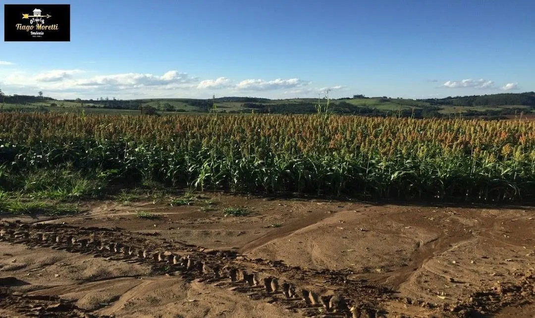 Fazenda à venda de 11.761 ha em Itapetininga, SP, Brasil