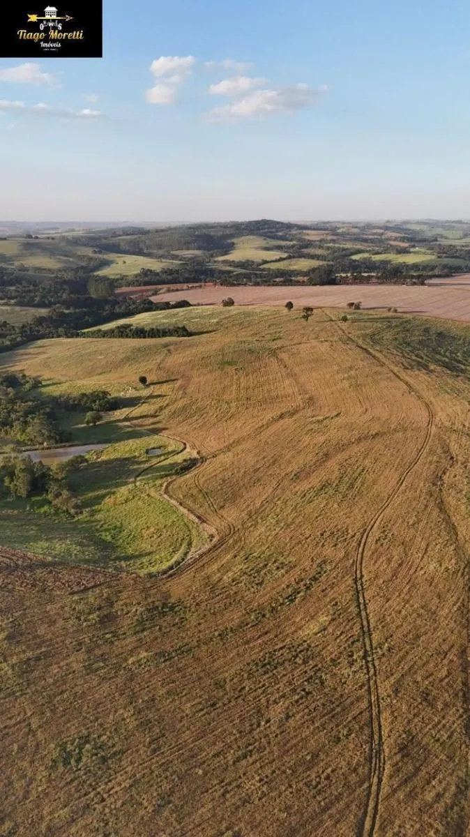 Fazenda à venda de 11.761 ha em Itapetininga, SP, Brasil