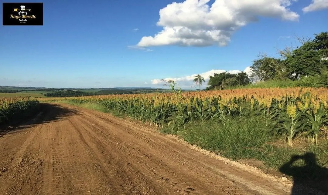 Fazenda à venda de 11.761 ha em Itapetininga, SP, Brasil