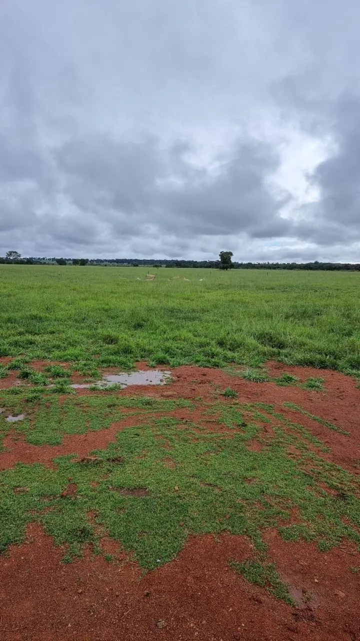 Fazenda à venda de 353 ha em Cocalinho, MT, Brasil