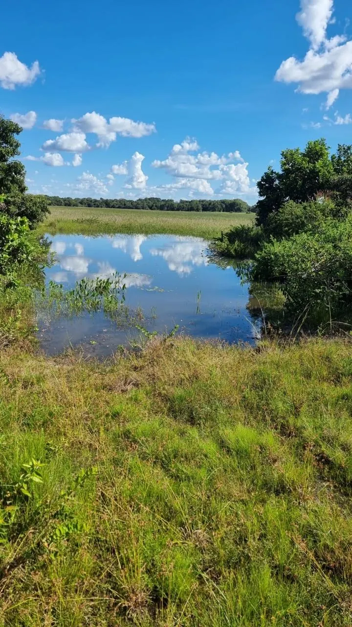 Fazenda à venda de 353 ha em Cocalinho, MT, Brasil