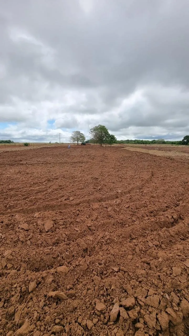 Fazenda à venda de 353 ha em Cocalinho, MT, Brasil