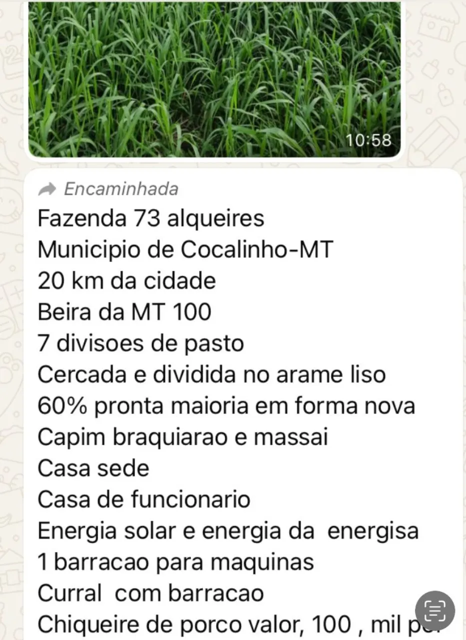 Fazenda à venda de 353 ha em Cocalinho, MT, Brasil
