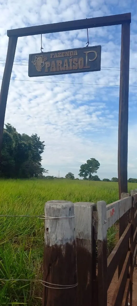 Fazenda à venda de 353 ha em Cocalinho, MT, Brasil