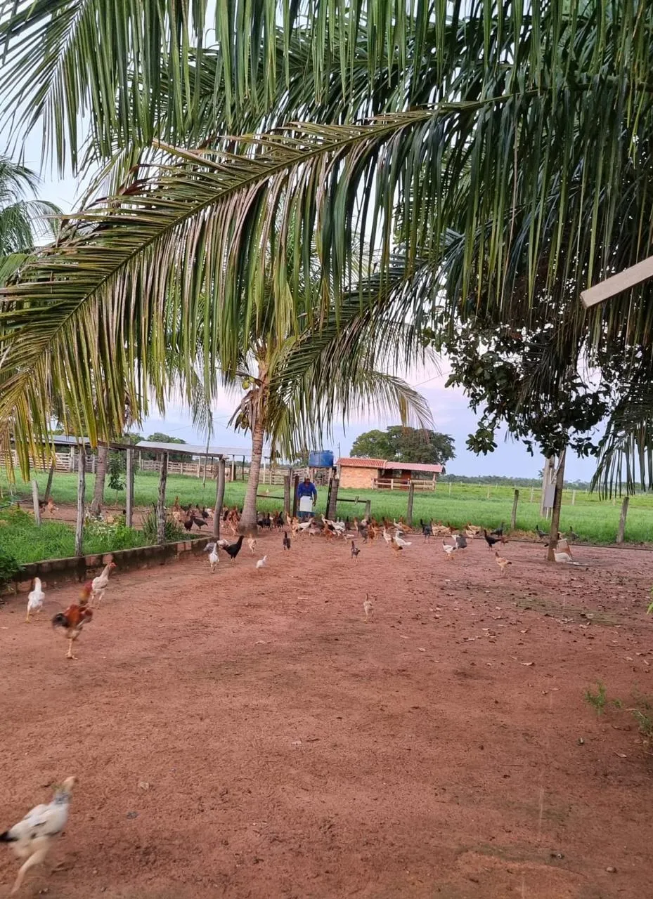 Fazenda à venda de 353 ha em Cocalinho, MT, Brasil