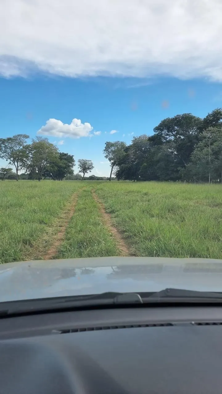 Fazenda à venda de 353 ha em Cocalinho, MT, Brasil