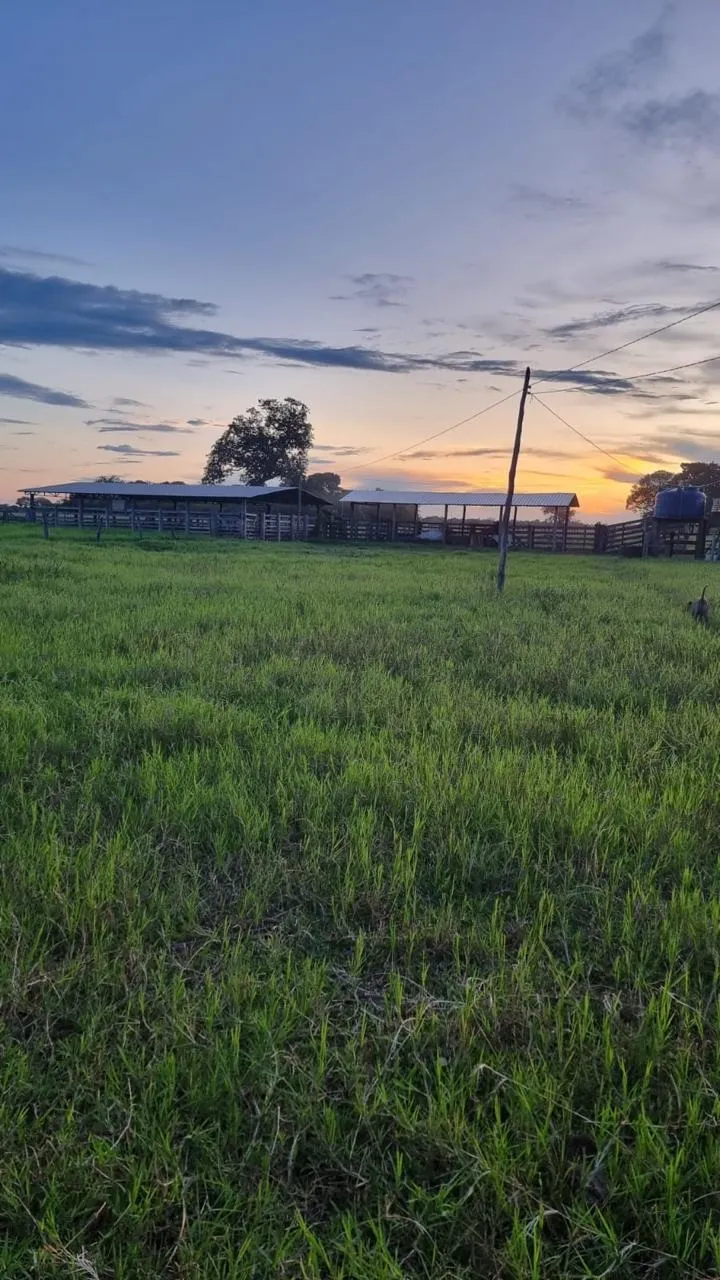 Fazenda à venda de 353 ha em Cocalinho, MT, Brasil