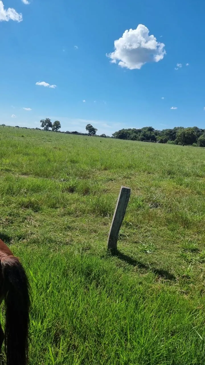 Fazenda à venda de 353 ha em Cocalinho, MT, Brasil