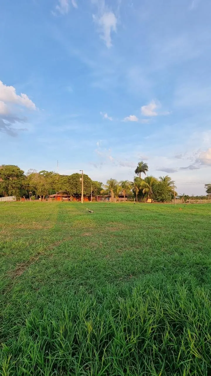 Fazenda à venda de 353 ha em Cocalinho, MT, Brasil