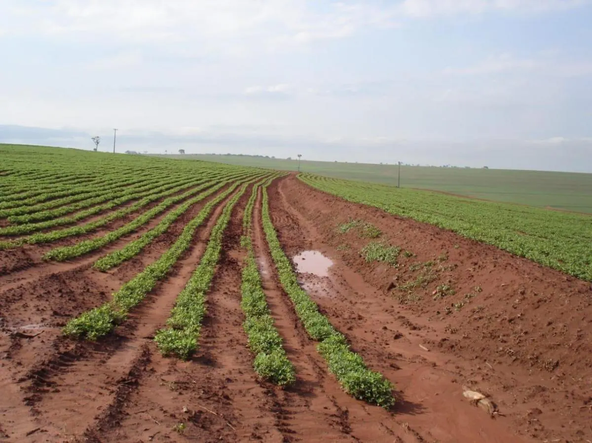 Fazenda à venda de 340 ha em Presidente Prudente, SP, Brasil