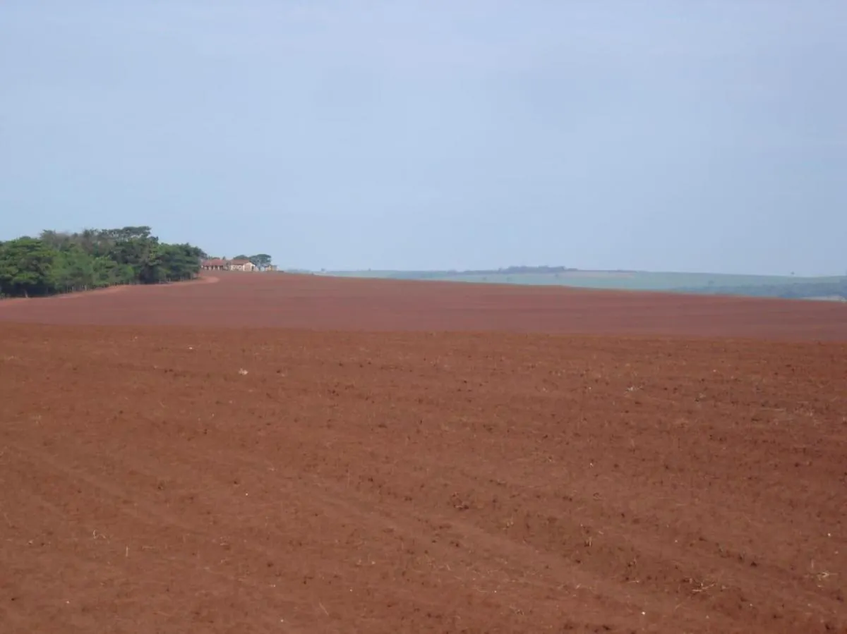 Fazenda à venda de 340 ha em Presidente Prudente, SP, Brasil