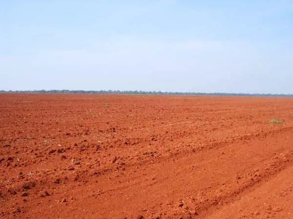 Fazenda à venda de 340 ha em Presidente Prudente, SP, Brasil