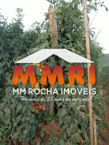 Sítio à venda de 32 ha em Ribeirão Branco, SP, Brasil