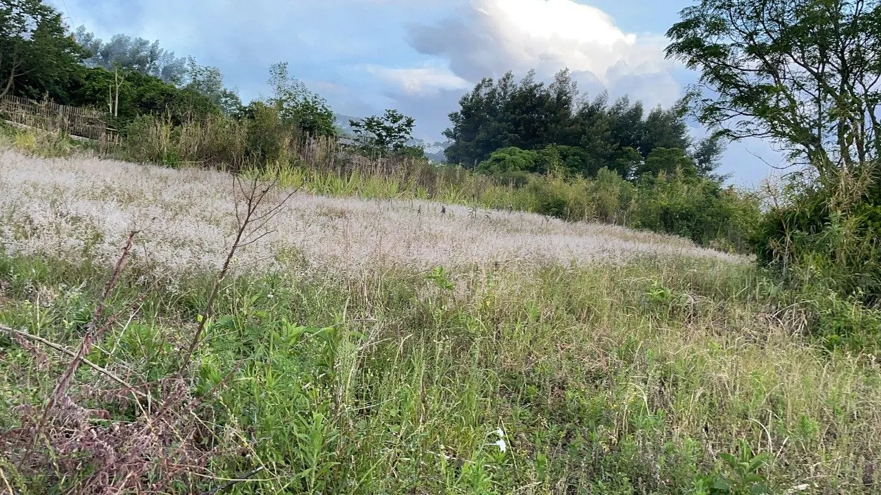 Plot for sale of 3,478 m² in Caraá, RS, Brazil