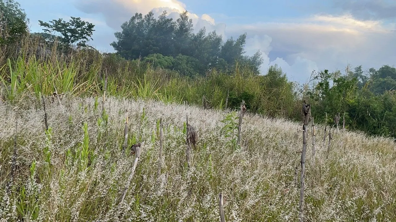 Plot for sale of 3,478 m² in Caraá, RS, Brazil