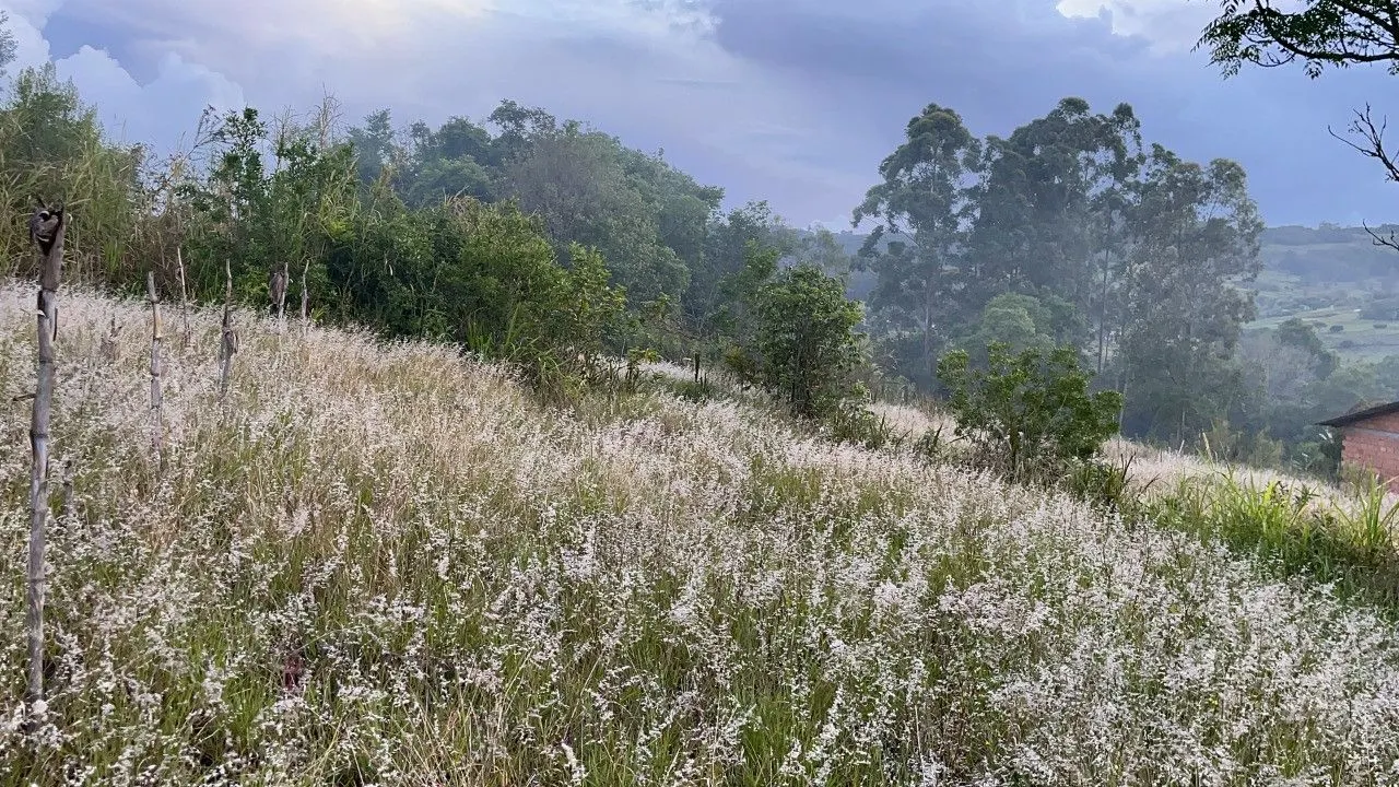 Plot for sale of 3,478 m² in Caraá, RS, Brazil