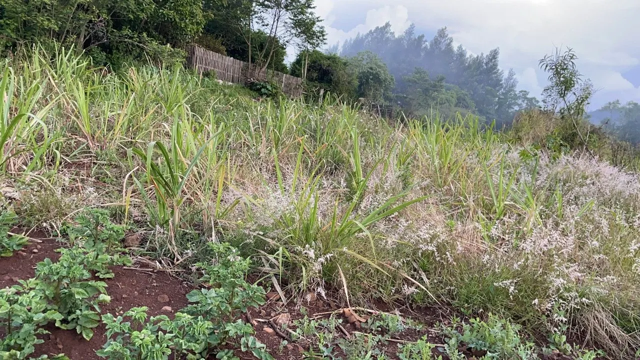 Plot for sale of 3,478 m² in Caraá, RS, Brazil