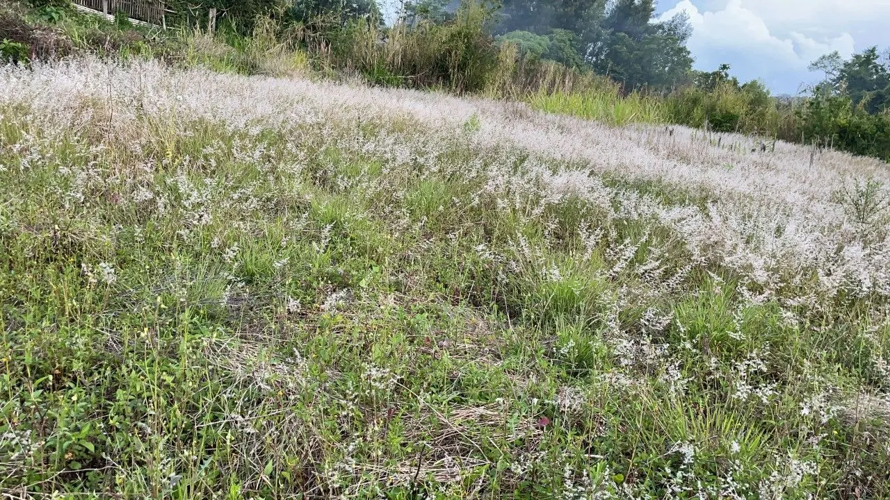 Plot for sale of 3,478 m² in Caraá, RS, Brazil