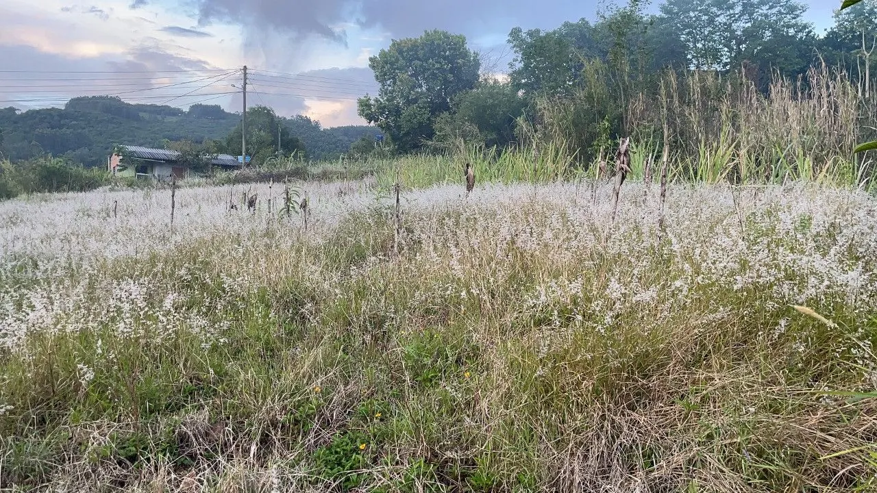 Plot for sale of 3,478 m² in Caraá, RS, Brazil