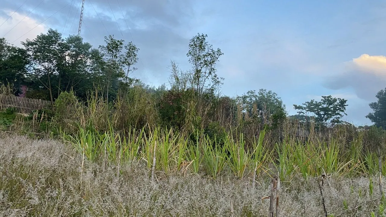 Plot for sale of 3,478 m² in Caraá, RS, Brazil