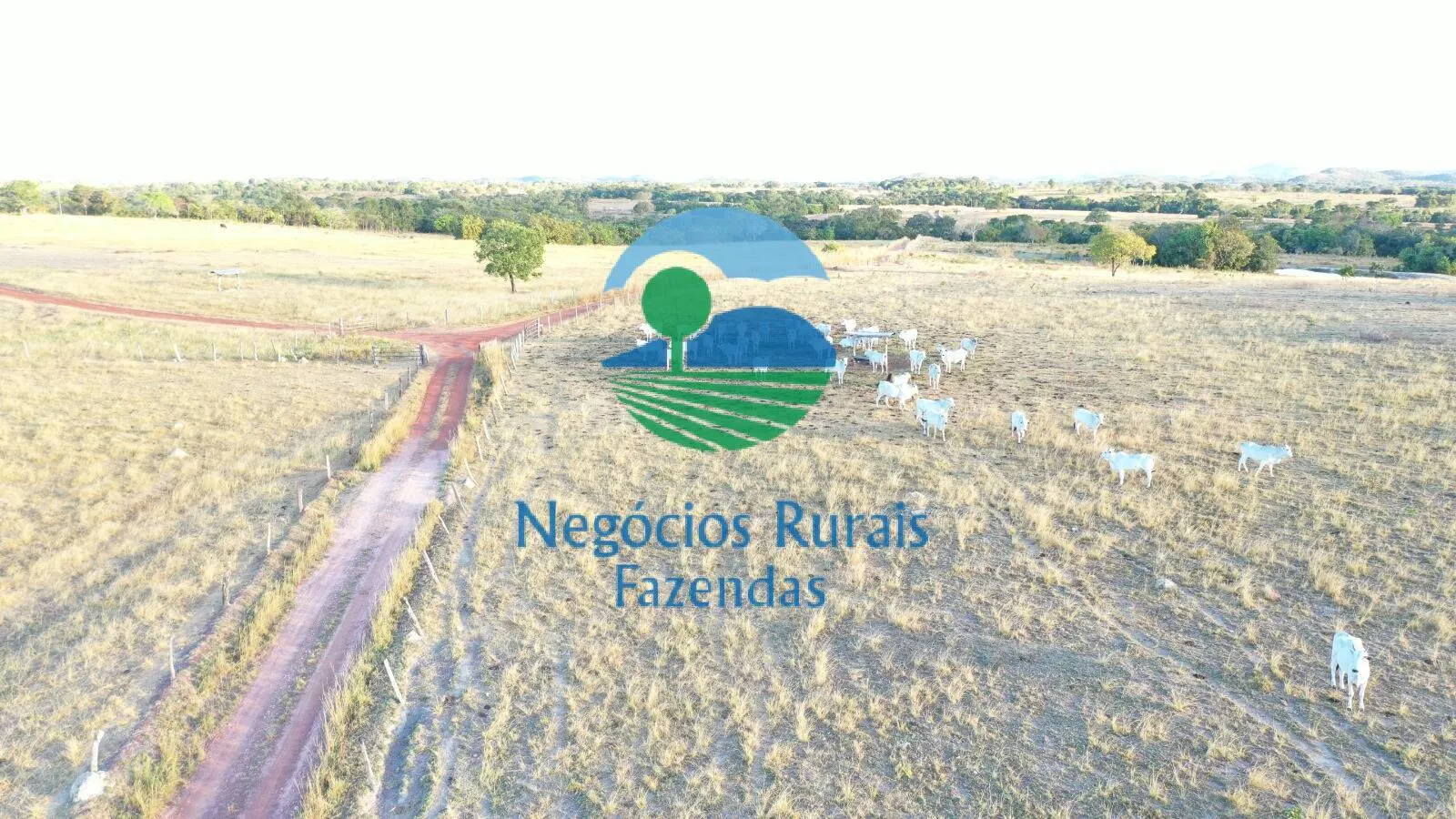 Farm for sale of 4,065 acres in Crixás, GO, Brazil