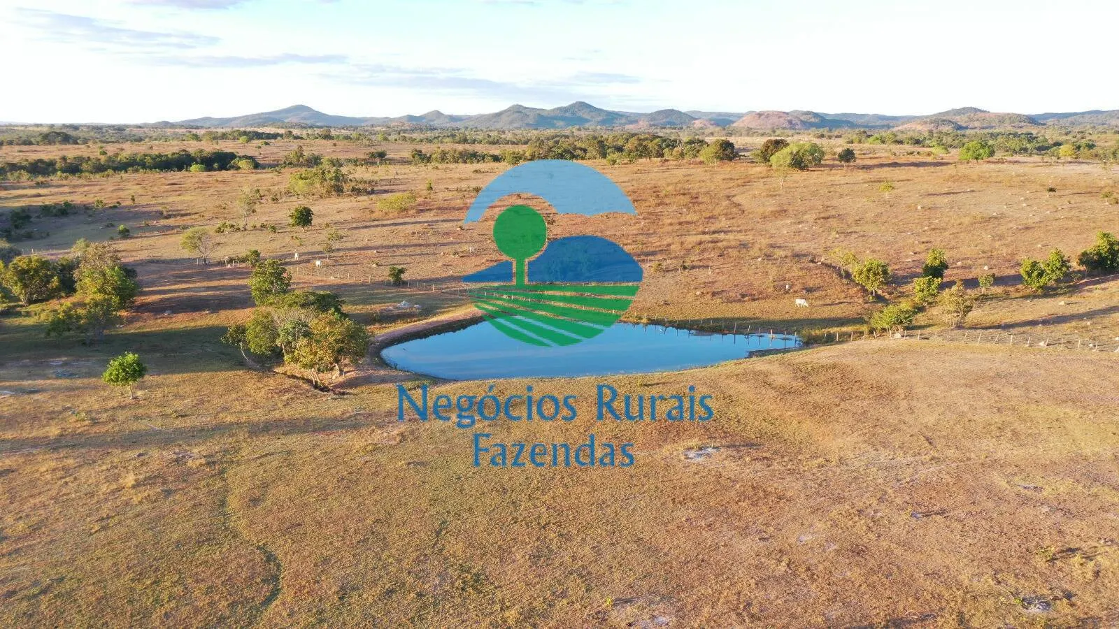 Farm for sale of 4,065 acres in Crixás, GO, Brazil