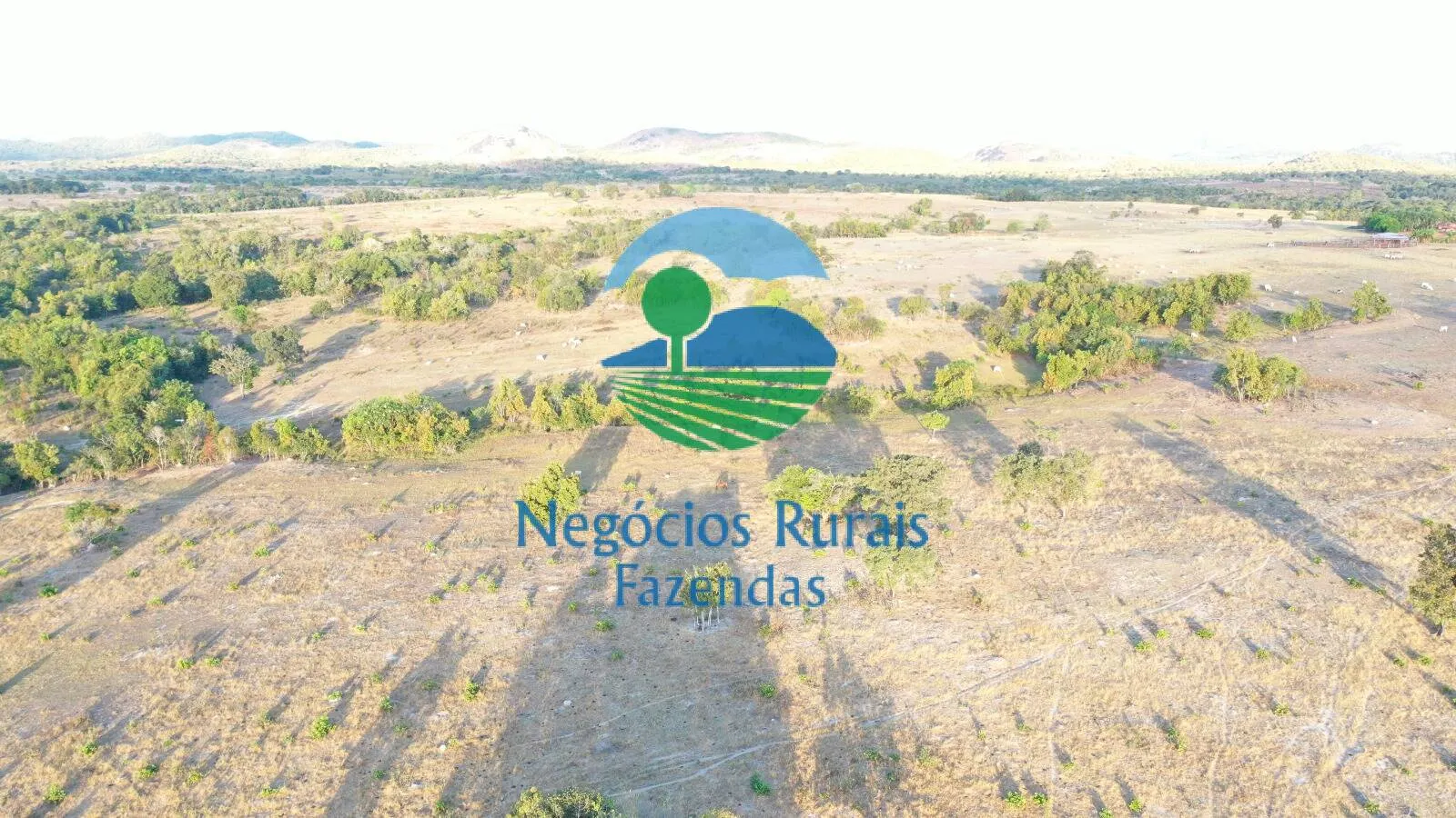 Farm for sale of 4,065 acres in Crixás, GO, Brazil