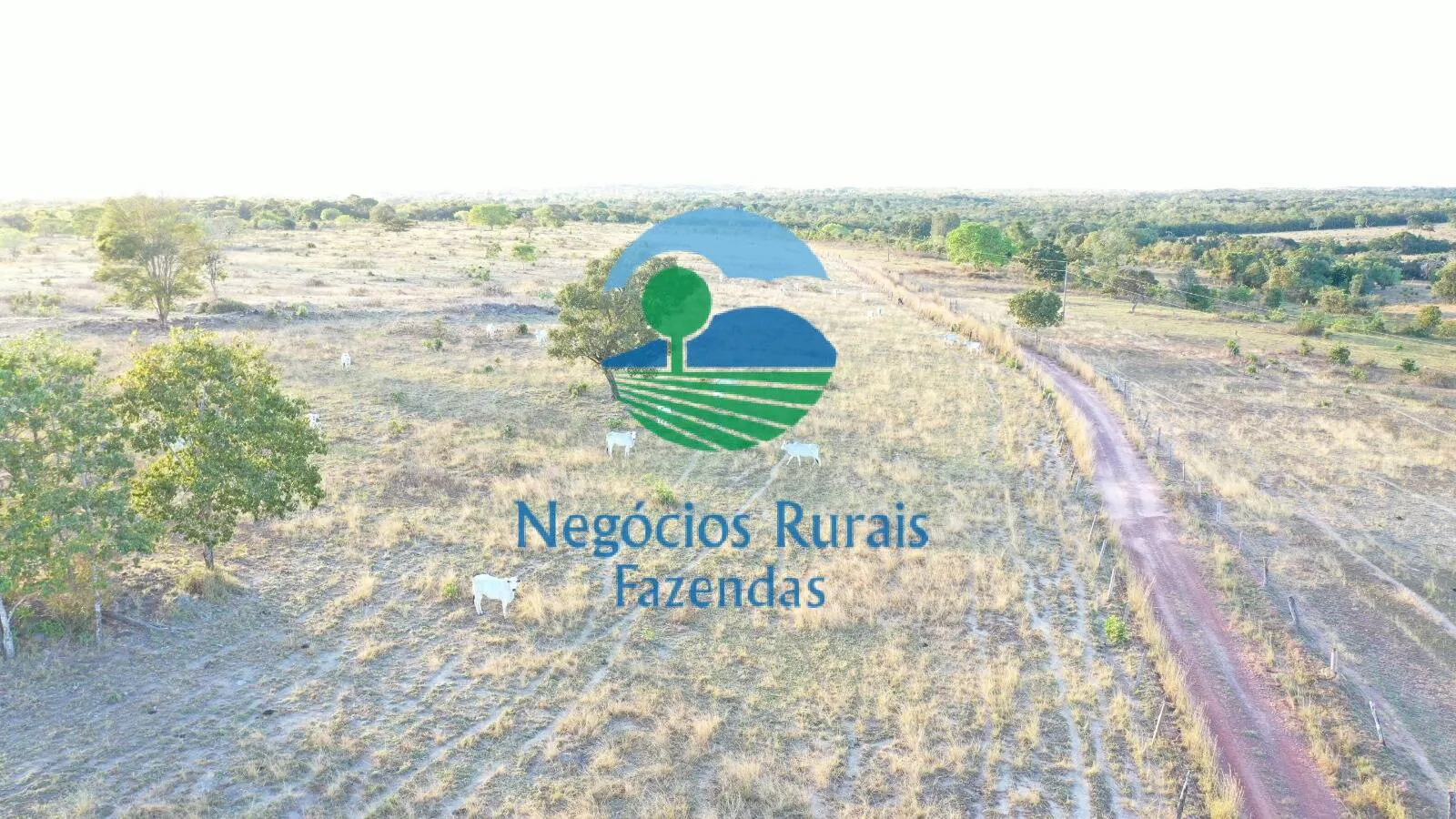 Farm for sale of 4,065 acres in Crixás, GO, Brazil