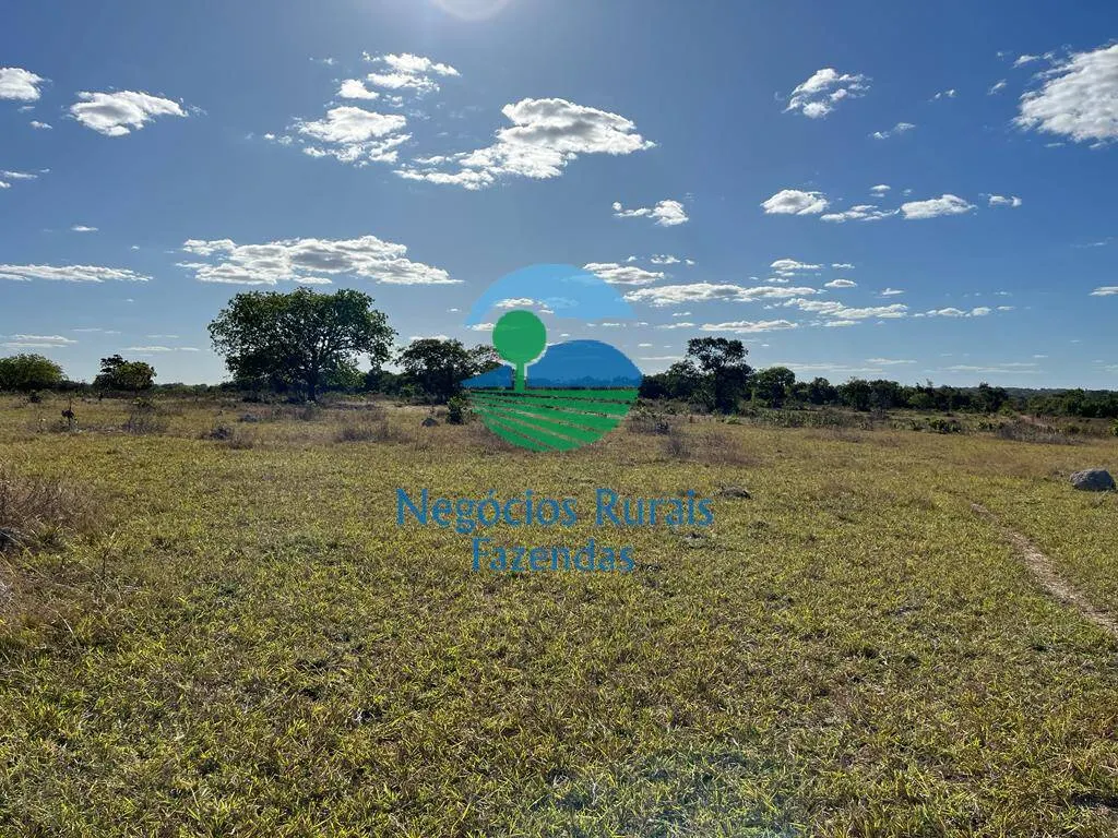 Farm for sale of 4,065 acres in Crixás, GO, Brazil