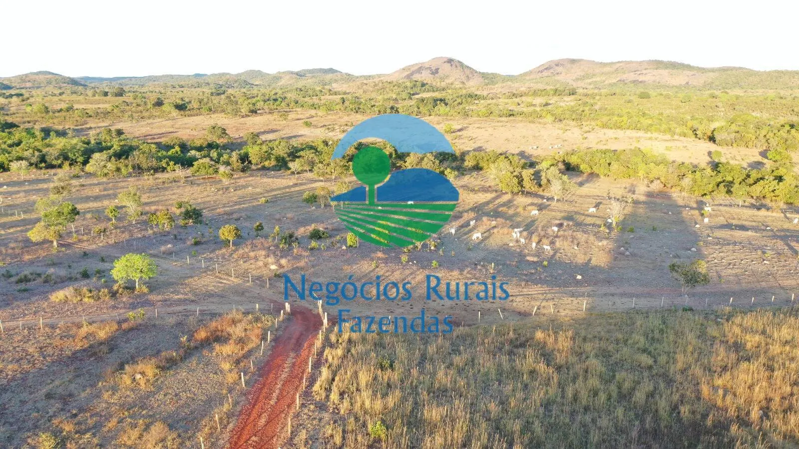 Farm for sale of 4,065 acres in Crixás, GO, Brazil