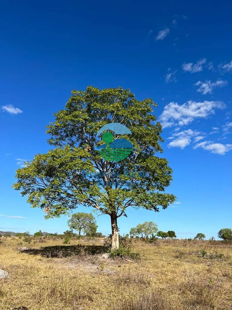 Farm for sale of 4,065 acres in Crixás, GO, Brazil