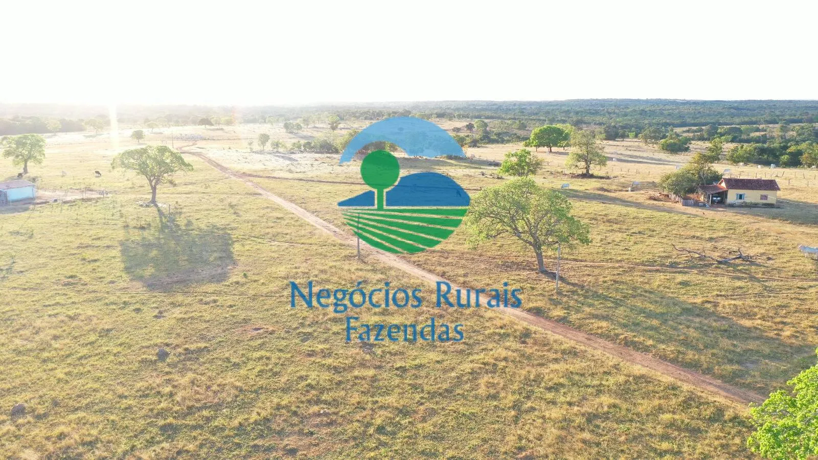 Farm for sale of 4,065 acres in Crixás, GO, Brazil