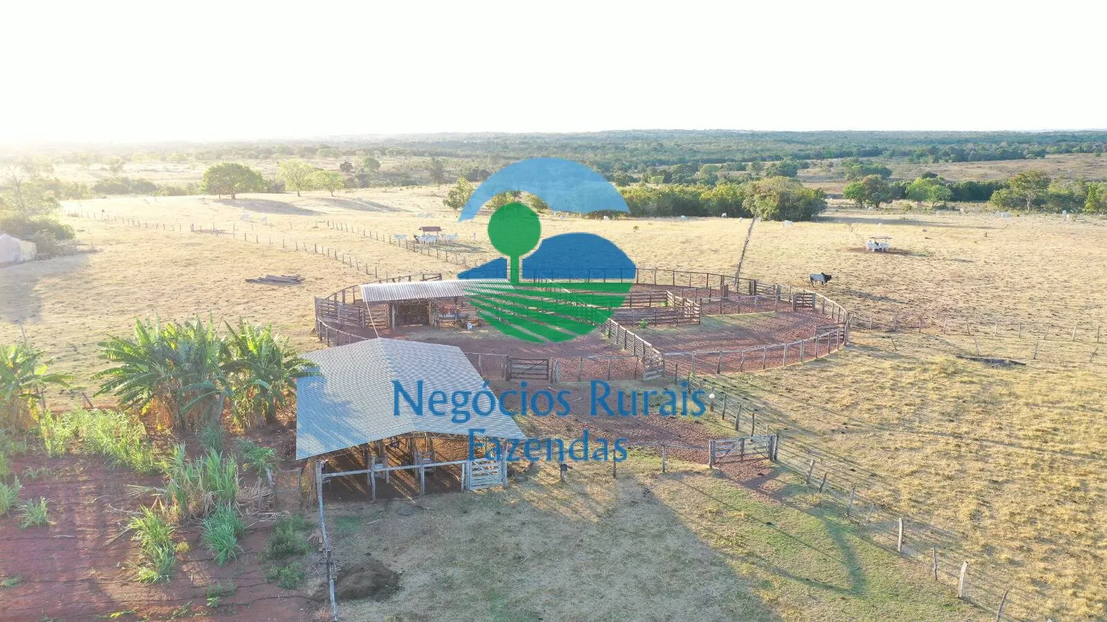 Farm for sale of 4,065 acres in Crixás, GO, Brazil