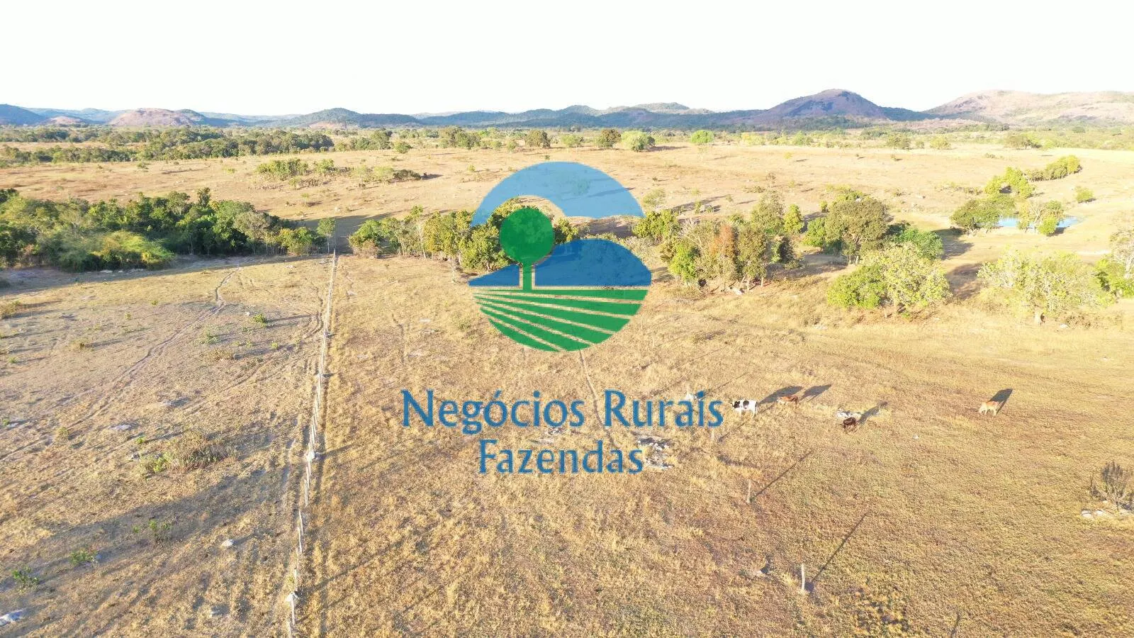 Farm for sale of 4,065 acres in Crixás, GO, Brazil