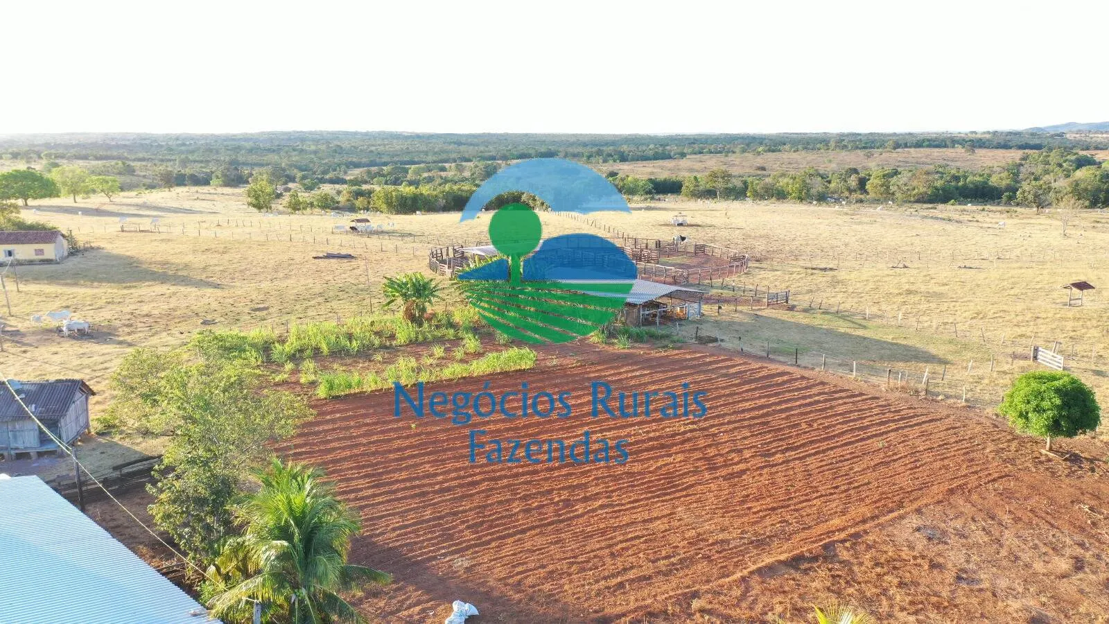 Farm for sale of 4,065 acres in Crixás, GO, Brazil