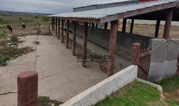 Fazenda à venda de 172 ha em Porangaba, SP, Brasil