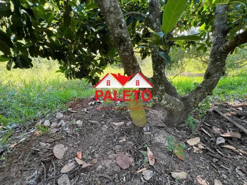 Chácara à venda de 1 ha em Bofete, SP, Brasil