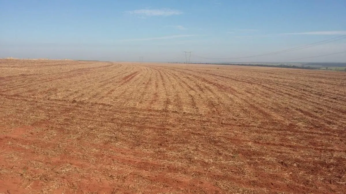 Fazenda à venda de 99 ha em Iepê, SP, Brasil