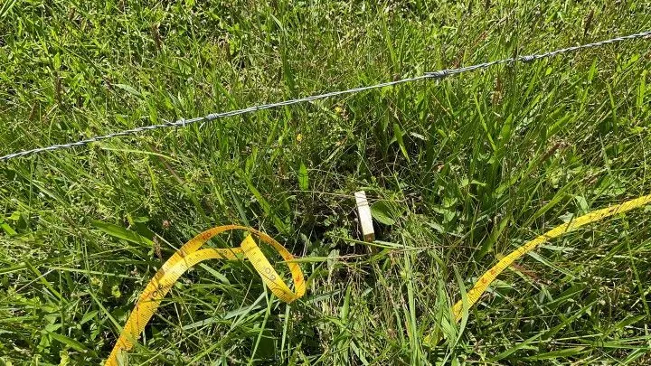 Terreno à venda de 550 m² em Santo Antônio da Patrulha, RS, Brasil