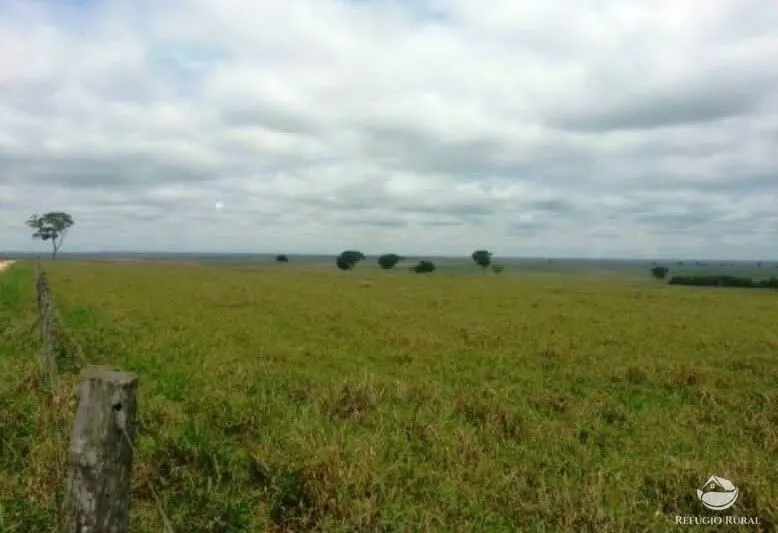 Fazenda à venda de 955 ha em Corumbá, MS, Brasil
